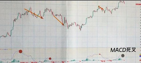 Coinbase：加密世界的合规独角兽还能飞多高？
