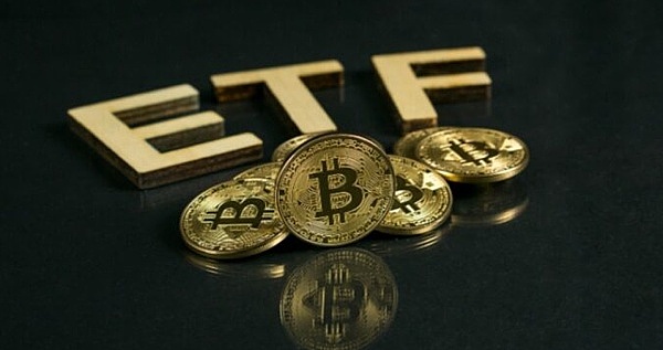 山寨币狂欢：这些潜力币种正引发市场热议