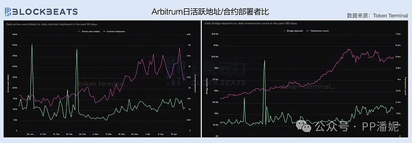 当稳定币巨头开始单飞：专属链热潮下的行业震荡