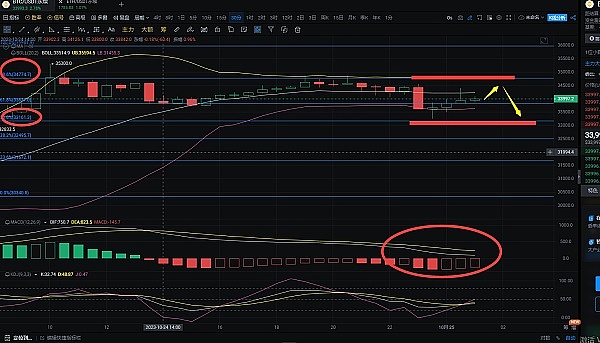 以太坊巨鲸们的心理账本：DAT财库何时会砸盘？