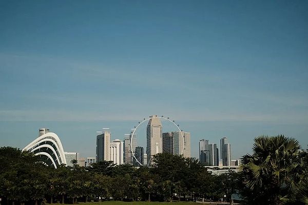 退休金投资大地震：特朗普为什么要把老百姓的养老金引向高风险领域？