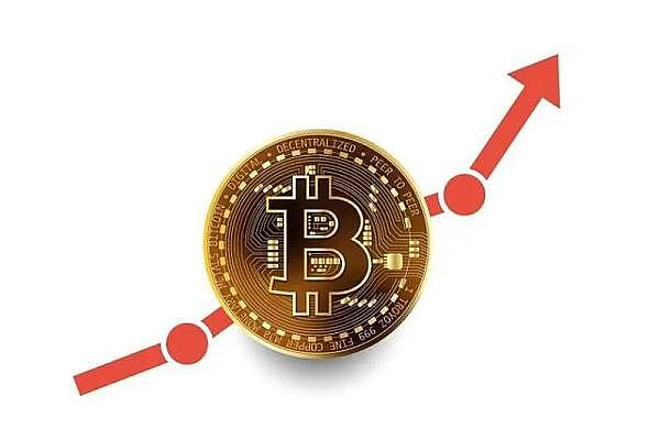 比特币鲸鱼疯狂扫货，但这波操作真能托起牛市吗？