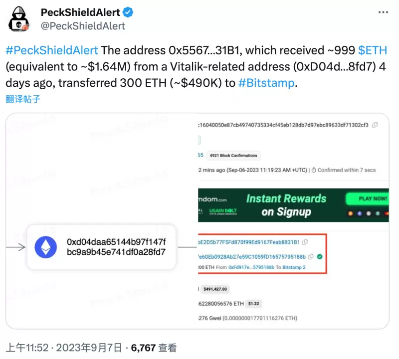 比特币生态狂欢：投资新风口还是泡沫前兆？