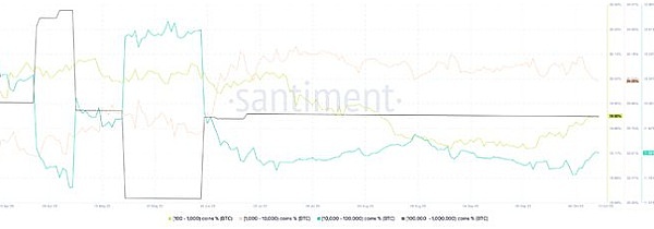 IOST双周动态观察：盛夏里的技术成长足迹