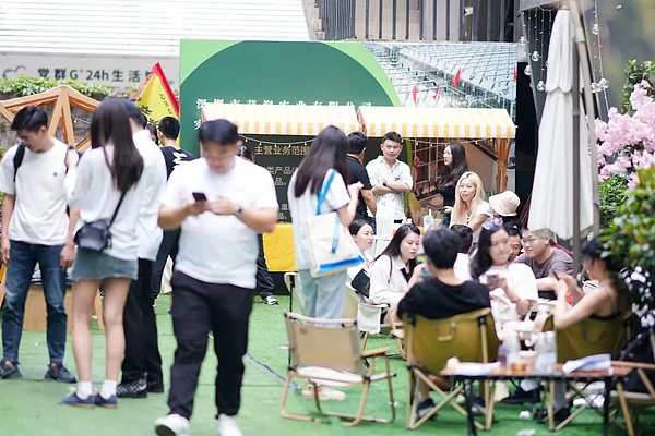 MEME币圈的职业赌徒：揭秘Davis如何靠收割名人币暴富