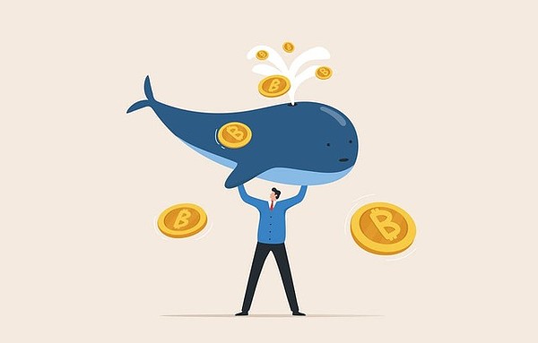 2023年11月16日区块链晨报：BTC迎来曙光，监管风暴持续