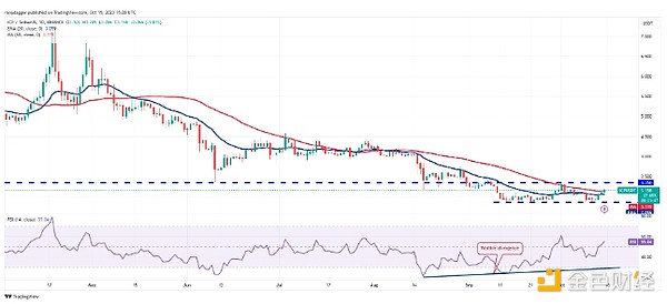 辣椒遇上元宇宙！红满坡打造舌尖上的数字革命