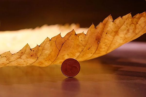金色财经晨报：加密市场风云变幻，大佬操盘手法令人咋舌