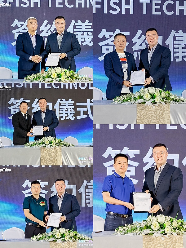 当区块链遇上淘金热：一位老韭菜的真诚分享